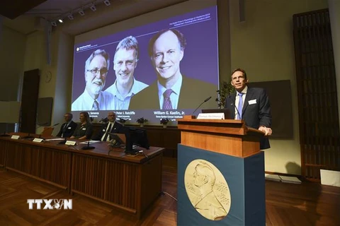 Thư ký Ủy ban Nobel Thomas Perlmann (phải) công bố giải Nobel Y học năm 2019 thuộc về William Kaelin, Peter Ratcliffe và Gregg Semenza, trong cuộc họp báo tại Stockholm, Thụy Điển. (Ảnh: AFP/TTXVN)