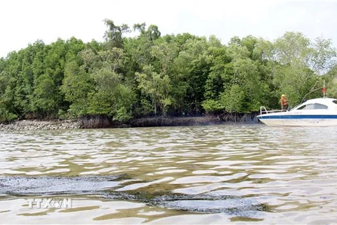Xuất hiện nhiều vệt dầu loang trên sông Lòng Tàu sau vụ chìm tàu. (Ảnh: Tiến Lực/TTXVN)