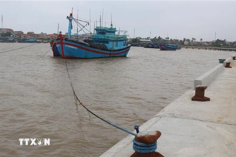 Tàu thuyền của ngư dân được đưa vào neo đậu tránh bão tại cảng cá Đông Tác, thành phố Tuy Hòa. (Ảnh: Phạm Cường/TTXVN)