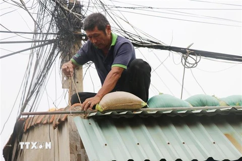 Công tác gia cố lại nhà ở để đảm bảo an toàn trước khi bão đổ bộ đang được người dân tỉnh Phú Yên khẩn trương thực hiện. (Ảnh: Phạm Cường/TTXVN)