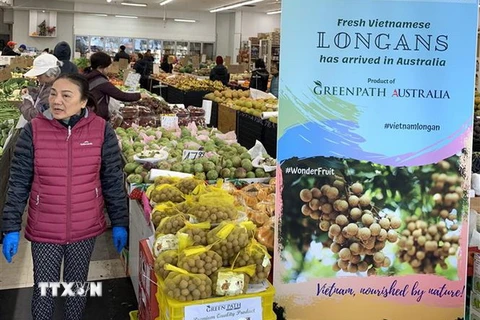 Quả nhãn tươi Việt Nam tại siêu thị Đại Phát, quận Sunshine, thành phố Melbourne, Australia. (Ảnh: Nguyễn Minh/TTXVN)
