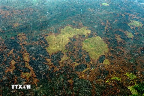 Khoảng rừng Amazon bị thiêu rụi. (Ảnh: AFP/TTXVN)