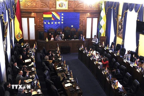 Toàn cảnh phiên họp Thượng viện Bolivia ở thủ đô La Paz ngày 23/11. (Ảnh: AFP/TTXVN)