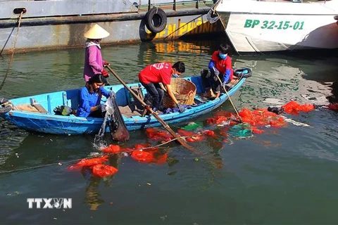 Thu gom rác thải nhựa trên mặt biển vùng khu vực cảng Quy Nhơn, tỉnh Bình Định. (Ảnh: Nguyên Linh/TTXVN)