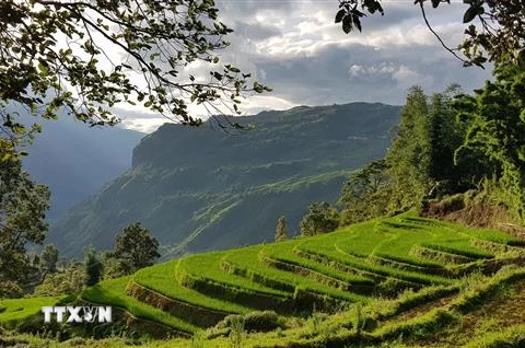 Lên Ý Tý - một xã vùng cao của huyện Bát Xát, tỉnh Lào Cai, du khách sẽ rất ngạc nhiên vì giữa vùng thâm sơn cùng cốc lại có những thửa ruộng bậc thang kỳ vĩ đến mê lòng. (Ảnh: Quốc Khánh/TTXVN)