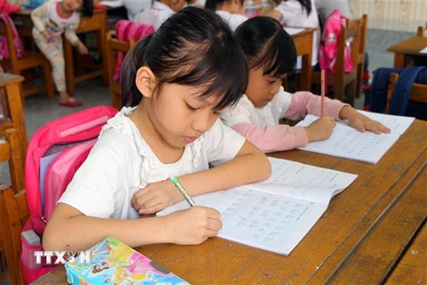 Giờ học của học sinh lớp 1A trường Tiểu học Thi Sơn, huyện Kim Bảng, tỉnh Hà Nam. (Ảnh: Đại Nghĩa/TTXVN)