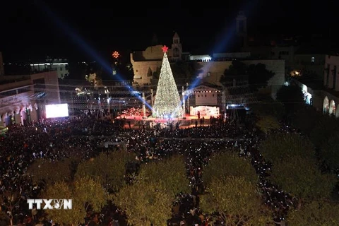 Thắp sáng cây thông Noel tại Quảng trường Manger ở thành phố Bethlehem, khu Bờ Tây. (Ảnh: THX/TTXVN)