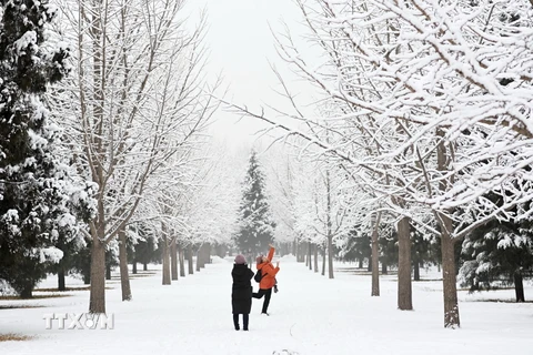 Tuyết phủ trắng xóa trong công viên ở Bắc Kinh, Trung Quốc. (Ảnh: THX/TTXVN)