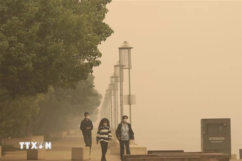 Khói mù từ các đám cháy rừng bao phủ thủ đô Canberra, Australia. (Ảnh: THX/TTXVN)