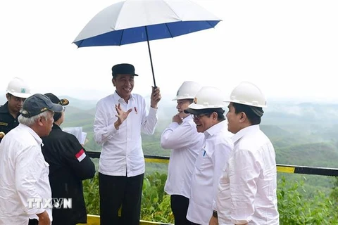 Tổng thống Indonesia Joko Widodo (giữa) cùng các quan chức thăm huyện Bắc Penajam Paser thuộc tỉnh Đông Kalimantan. (Ảnh: AFP/TTXVN)
