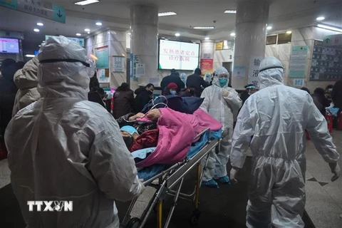 Chuyển bệnh nhân nhiễm virus corona tới bệnh viện ở Vũ Hán, tỉnh Hồ Bắc, Trung Quốc. (Ảnh: AFP/TTXVN)