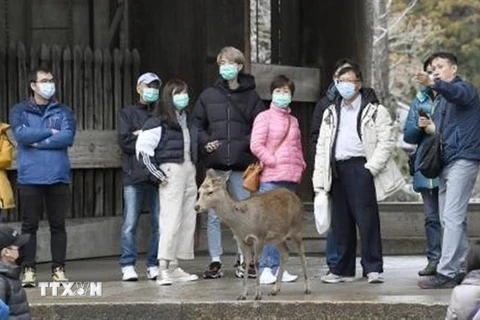 Người dân Nhật Bản đeo khẩu trang phòng dịch viêm phổi do virus corona chủng mới trong chuyến du xuân tại công viên Nara. (Ảnh: Kyodo/TTXVN)
