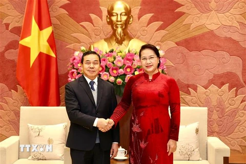 Chủ tịch Quốc hội Nguyễn Thị Kim Ngân tiếp Đại sứ Lào tại Việt Nam Sengphet Houngboungnuang đến chào xã giao. (Ảnh: Dương Giang/TTXVN)