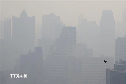 Khói mù ô nhiễm bao phủ dày đặc tại Bangkok, Thái Lan. (Ảnh: AFP/TTXVN)