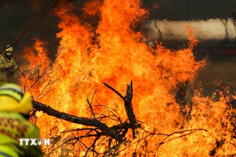 Các đám cháy rừng bùng phát dữ dội tại New South Wales, Australia. (Ảnh: THX/TTXVN)