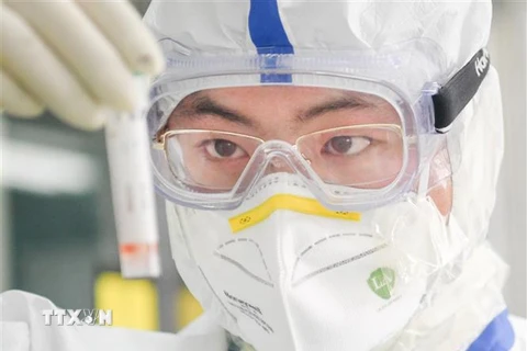 Nhân viên làm việc tại phòng thí nghiệm ở Vũ Hán, tỉnh Hồ Bắc, Trung Quốc. (Ảnh: THX/TTXVN)