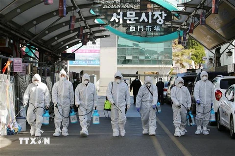 Phun thuốc khử trùng tại một khu chợ ở thành phố Daegu, Hàn Quốc nhằm ngăn chặn sự lây lan của dịch COVID-19. (Ảnh: AFP/TTXVN)