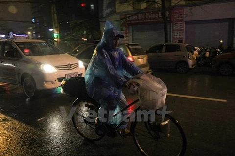 Ảnh minh họa. (Nguồn: Vietnam+)