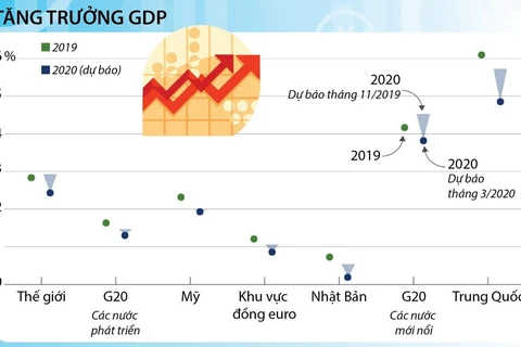 OECD hạ dự báo tăng trưởng kinh tế toàn cầu năm 2020