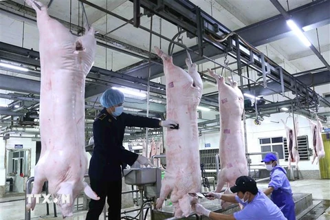 Nhân viên thú y đóng dấu kiểm dịch lên sản phẩm thịt lợn tại dây chuyền giết mổ lợn ở nhà máy của Công ty Cổ phần Công nghệ thực phẩm Vinh Anh, huyện Thường Tín, Hà Nội. (Ảnh: Vũ Sinh/TTXVN)
