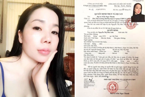 Nguyễn Thị Mai Anh và Quyết định truy nã.
