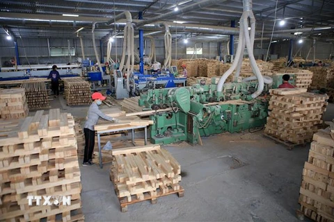 Một cơ sở chế biến gỗ. (Ảnh: Hồ Cầu/TTXVN)