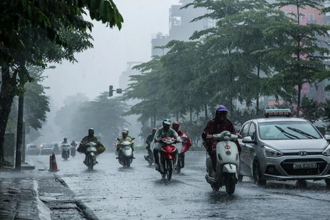 Ảnh minh họa. (Nguồn: Vietnam+)