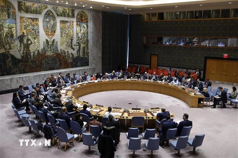 Toàn cảnh một phiên họp Hội đồng Bảo an Liên hợp quốc. (Ảnh: THX/TTXVN)