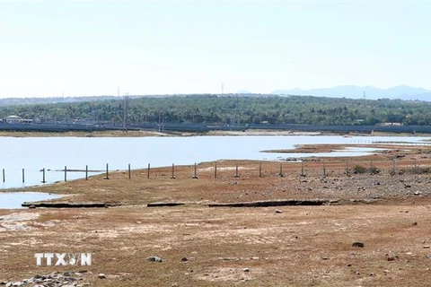 Hồ chứa nước Bầu Ngứ ở huyện Thuận Nam, Ninh Thuận đang dần cạn kiệt, chỉ tích nước để phục vụ chăn nuôi. (Ảnh: Công Thử/TTXVN)