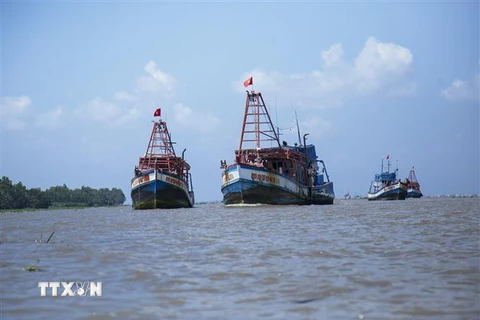 Các tàu cá của tỉnh Ninh Thuận vươn khơi khai thác hải sản đều được tổ chức giám sát, quản lý chặt chẽ. (Ảnh: TTXVN)
