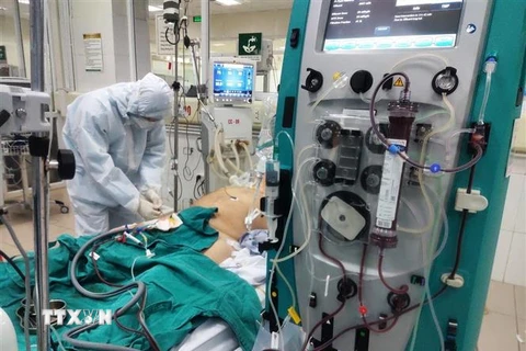 Tích cực điều trị cho các ca bệnh COVID-19 nặng tại Bệnh viện Bệnh Nhiệt đới Trung ương cơ sở 2 (Đông Anh, Hà Nội). (Ảnh: Hồng Hà/TTXVN phát)