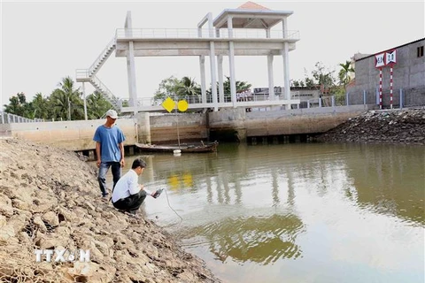 Cán bộ kỹ thuật của Sở Nông nghiệp và Phát triển nông thôn kiểm tra đo độ mặn tại cống thủy lợi Tre Bông, xã Tiên Thủy, huyện Châu Thành. (Ảnh: Vũ Sinh/TTXVN)