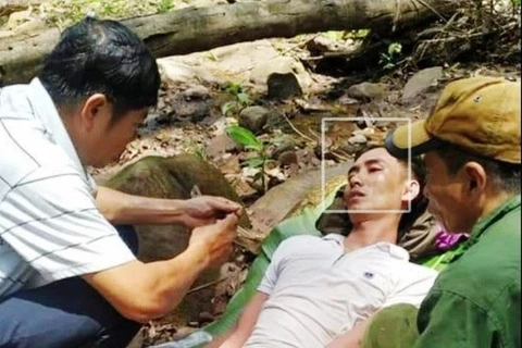 Quảng Bình: Băng rừng kịp thời cứu sống nạn nhân bị ong đốt