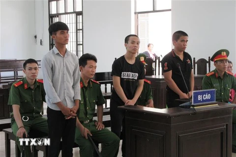 Các bị cáo tại phiên xét xử. (Ảnh: Nguyễn Thành/TTXVN)