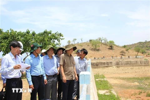 Thứ trưởng Nguyễn Hoàng Hiệp cùng đoàn công tác kiểm tra thực địa tại hồ Đá Bạc, huyện Tuy Phong. (Ảnh: Hồng Hiếu/TTXVN)