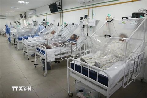 Bệnh nhân nhiễm COVID-19 điều trị tại bệnh viện ở Manaus, Brazil. (Ảnh: AFP/TTXVN)