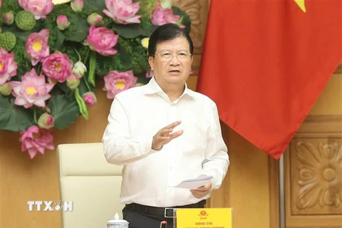 Phó Thủ tướng Trịnh Đình Dũng phát biểu. (Ảnh: Doãn Tấn/TTXVN)