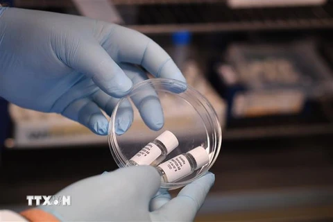 Nghiên cứu bào chế vắcxin phòng COVID-19 tại phòng thí nghiệm ở Burgess Hill, Đông Nam Anh. (Ảnh: AFP/TTXVN)