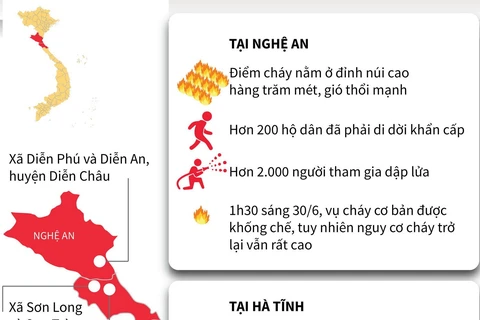 [Infographics] Toàn cảnh vụ cháy rừng ở Nghệ An và Hà Tĩnh