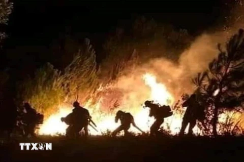 Lực lượng chức năng nỗ lực dập tắt cháy rừng. (Ảnh: TTXVN phát)