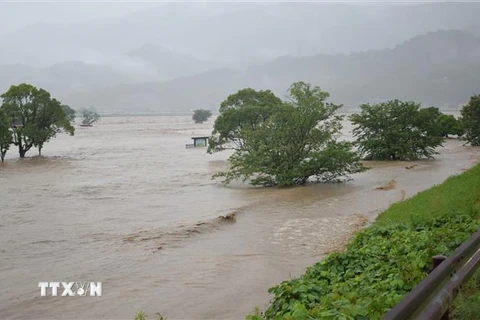 Mưa lớn gây ngập tại tỉnh miền Tây Kumamoto, Nhật Bản. (Nguồn: AFP)