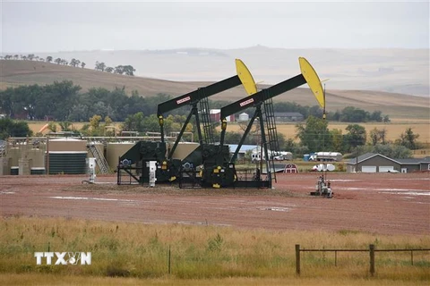 Các máy bơm dầu ở giếng dầu gần Williston, Bắc Dakota (Mỹ). (Ảnh: AFP/TTXVN)