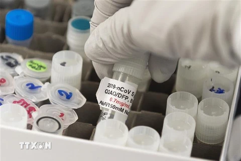 Các mẫu vắcxin phòng COVID-19 được bào chế tại một công ty phát triển vắcxin ở bang Maryland, Mỹ. (Ảnh: AFP/TTXVN)