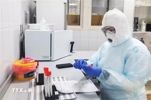 Nghiên cứu viên tìm hiểu mẫu bệnh phẩm của bệnh nhân COVID-19 tại phòng thí nghiệm ở Moskva, Nga. (Ảnh: RIA Novosti/TTXVN)