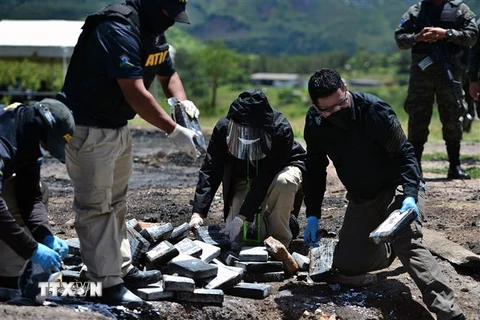 Cảnh sát chuẩn bị thiêu hủy số cocaine thu giữ được tại Tegucigalpa, Honduras. (Ảnh: AFP/TTXVN)