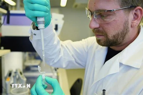 Nghiên cứu viên Công ty dược phẩm sinh học CureVac điều chế vắcxin phòng dịch COVID-19 tại phòng thí nghiệm ở Tuebingen, Đức. (Ảnh: Reuters/TTXVN)