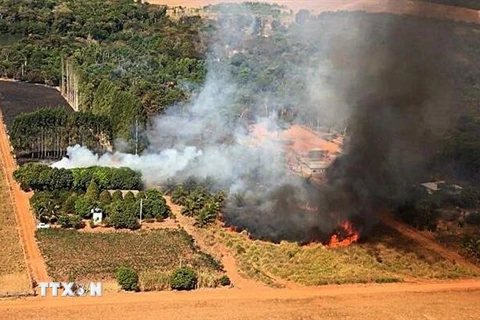 Khói lửa bốc lên từ đám cháy rừng tại khu vực Pantanal, bang Mato Grosso, Brazil. (Ảnh: AFP/TTXVN)