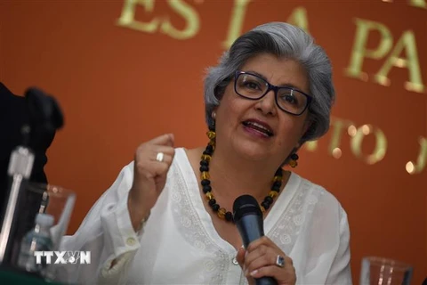 Bộ trưởng Kinh tế Mexico Graciela Márquez Colín phát biểu tại một cuộc họp báo ở Washington DC., Mỹ. (Ảnh: AFP/TTXVN)