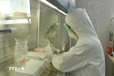 Viện Pasteur Nha Trang thực hiện test mẫu bệnh phẩm liên quan dịch COVID-19. (Ảnh: Phan Sáu/TTXVN)