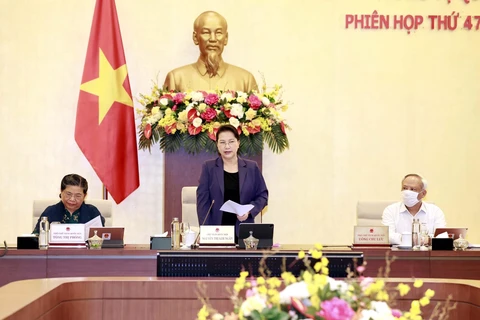 Chủ tịch Quốc hội Nguyễn Thị Kim Ngân phát biểu. (Ảnh: Trọng Đức/TTXVN)